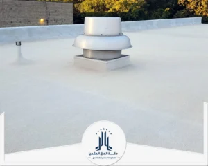 شركة عزل اسطح ببيش